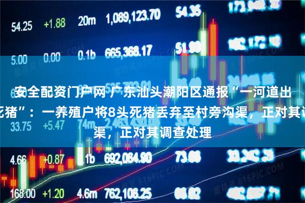 安全配资门户网 广东汕头潮阳区通报“一河道出现多头死猪”：一养殖户将8头死猪丢弃至村旁沟渠，正对其调查处理